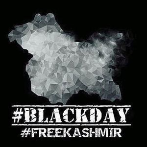 Meet your Posher, Zahid